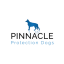 pinnacle protection